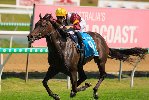 Junqueira strolls home alone at the Gold Coast - image Grant Courtney
