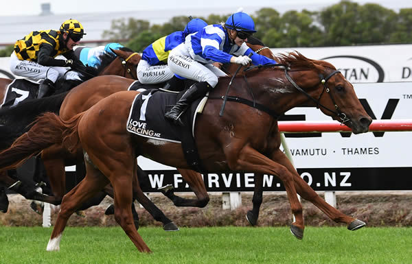 Apprentice jockey Bailey Rogerson claims an emphatic first black-type victory at Te Rapa aboard Just As Sharp. Photo: Kenton Wright (Race Images)