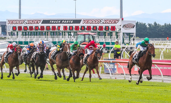 Just Charlie winning the Listed Metropolitan Trophy (2600m) at Riccarton on Saturday. Photo: Ajay Berry (Race Images South)