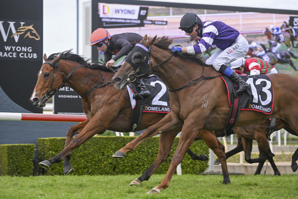 Just Feelin' Lucky edged out her rivals to take the win - image Bradley Photography 