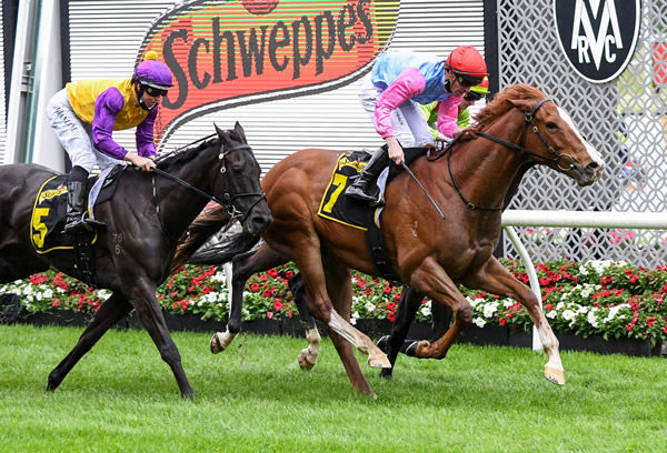 Just Folk wins the G2 Crystal Mile - image Pat Scala / Racing Photos