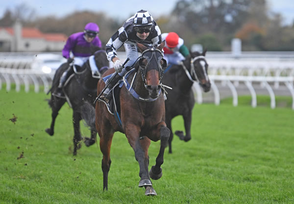 Talented wet track specialist Justaskme clears out from his rivals at Awapuni  Photo: Peter Rubery – Race Images