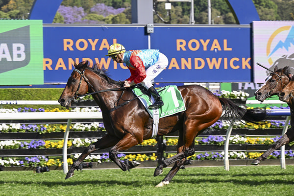 Ka Ying Rising wins the G1 Everest - image Bradley Photos