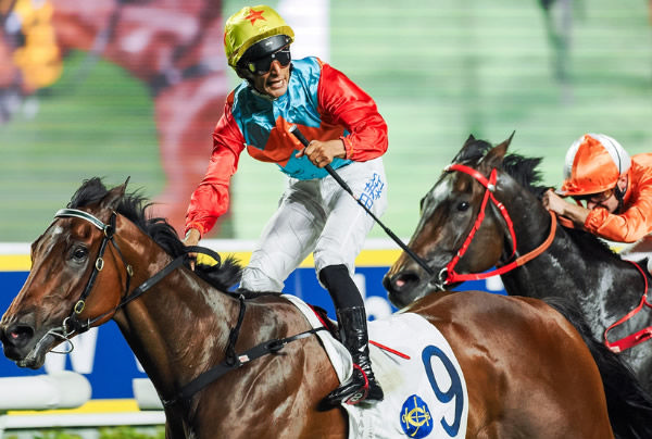 Kiwi bred Ka Ying Rising is a star on the rise - image HKJC