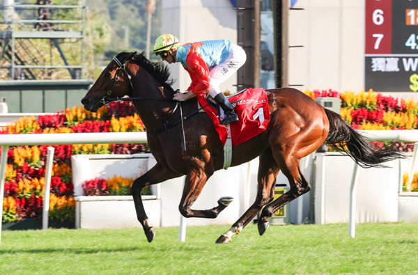 KA Ying Rising back better than ever - image HKJC