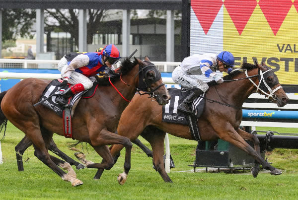 Kadavar wins the Vale Elvstroem for trainer Chris Waller at Caulfield. Photo: Bruno Cannatelli