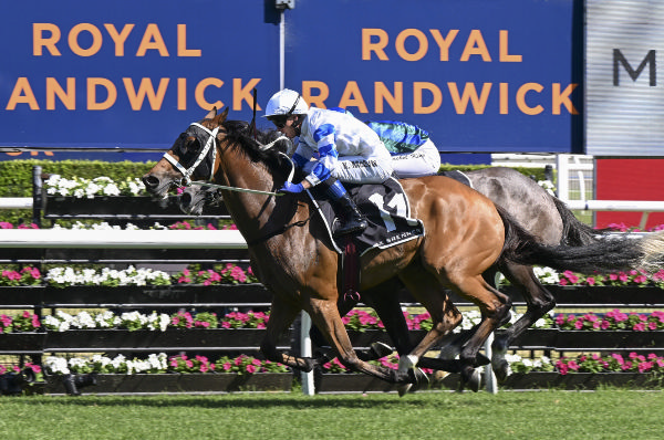 Kadavar wins the Listed Christmas Cup - image Steve Hart