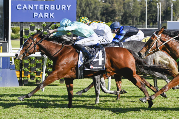 Kakadu Sunset arrives on the line at Canterbury - image Bradley Photography 