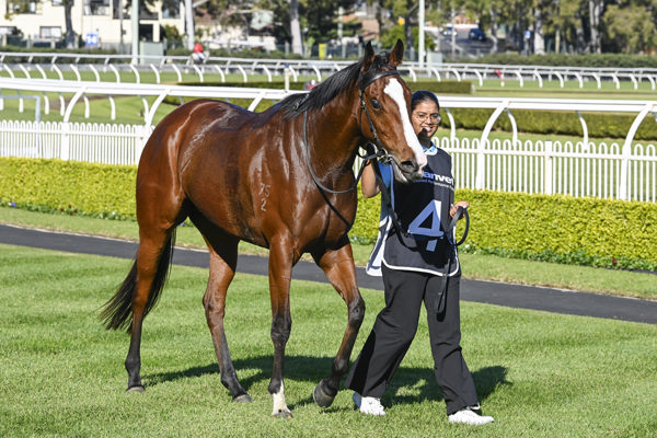 Kakadu Sunset is a winner on debut - image Bradley Photography