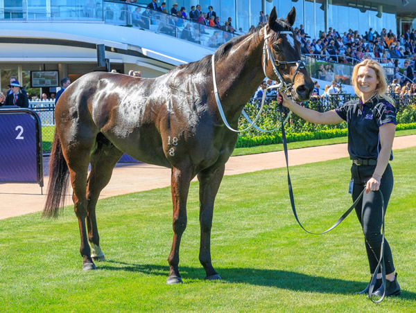 Kalino is a new SW for Pierro - image Grant Courtney