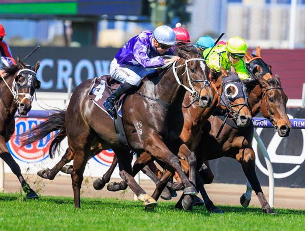 Kalino storms home to win the Sofitel Stakes - image Grant Courtney