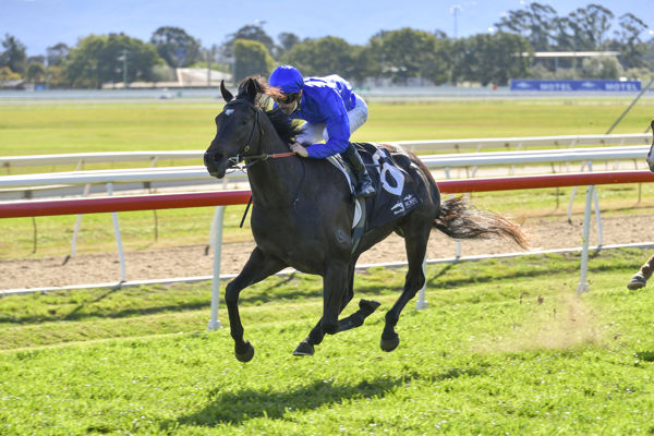 Kallos out on his own (image Hawkesbury Race Club / Bradley Photos)