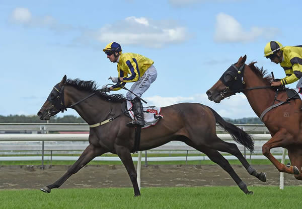 G3 winner Karman Line is for sale.
