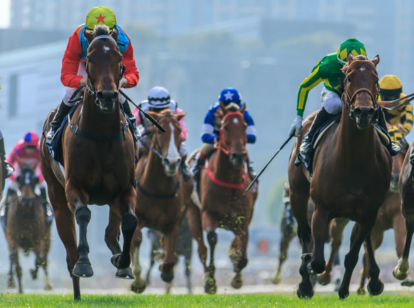 Ka Ying Rising wins the Hong Kong Sprint. Photo: Grant Courtney.