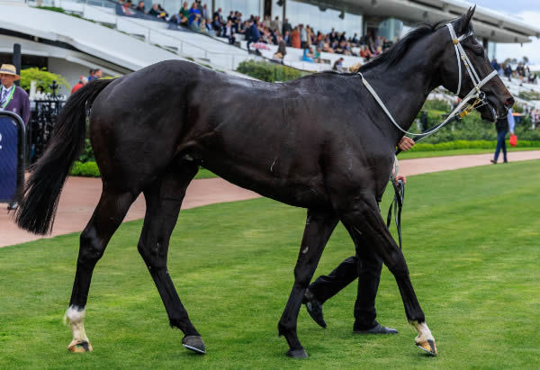 Keeneland has a bright future - image Grant Courtney