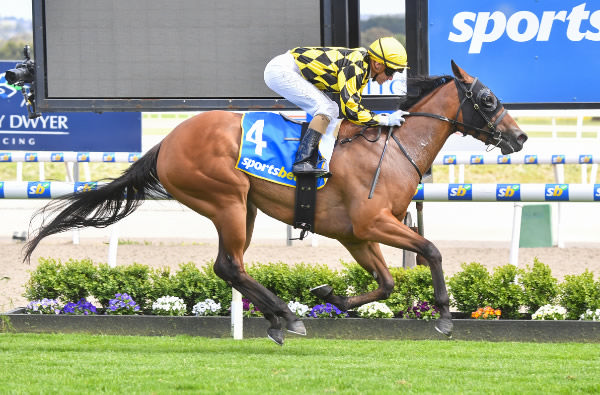 Keepsake salutes at Ballarat - image Pat Scala / Racing Photos