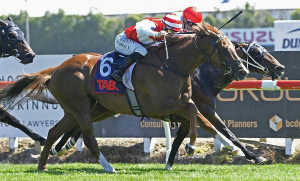 Kelly Coe winning Saturday’s Gr.3 J Swap Sprint (1400m) at Te Rapa.   Photo: Kenton Wright (Race Images)