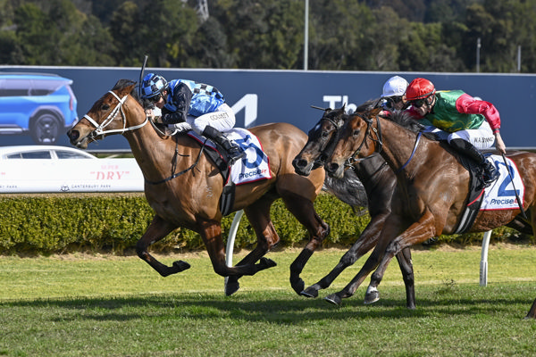Kerber breaks the maiden at Canterbury - image Bradley Photography 