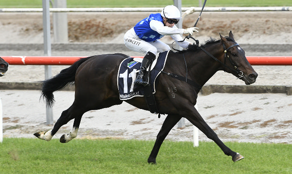 Khafre winning the Listed Team Wealleans Matamata Cup (1600m).   Photo: Kenton Wright (Race Images)