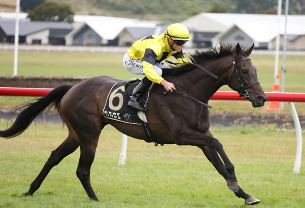 Jockey Matt Cameron takes out the Gr.3 Ron Stanley Memorial Phar Lap Trophy (1600m) at Trentham on Saturday aboard the Fraser Auret-trained Khanshe.  Photo: Peter Rubery (Race Images)