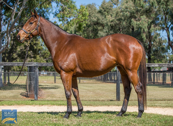 Khulaasa was bought  for $1.35million.