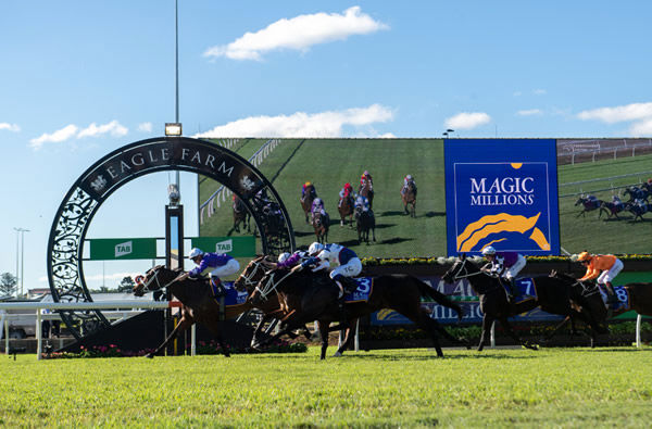 Kiku leads home a Waller first four in the $500,000 Magic Millions National - image MM