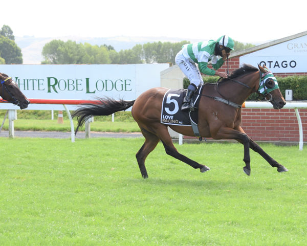 Kilowatt proves too strong for his rivals as he wins the Listed Alleviate Administration Dunedin Gold Cup (2400m) at Wingatui Photo Credit: Tayler Strong