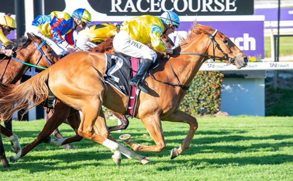 King of Light finished at the speed of light to win the Belgravia Stakes - image Western Racepix