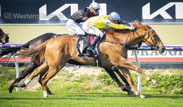 King of Light makes it four wins in a row in the Listed Fairetha Stakes - image Western Racepix