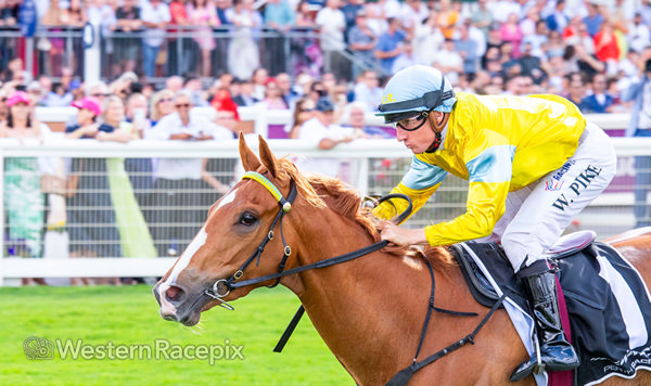 King of Light makes it five from five in G2 WA Guineas - image Western Racepix