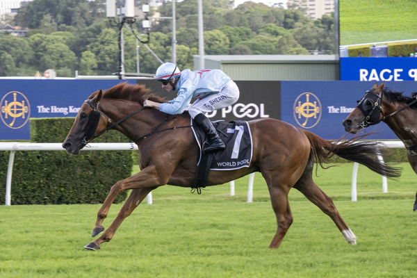 King of Roseau wins the G3 Liverpool City Cup - image Bradley Photos