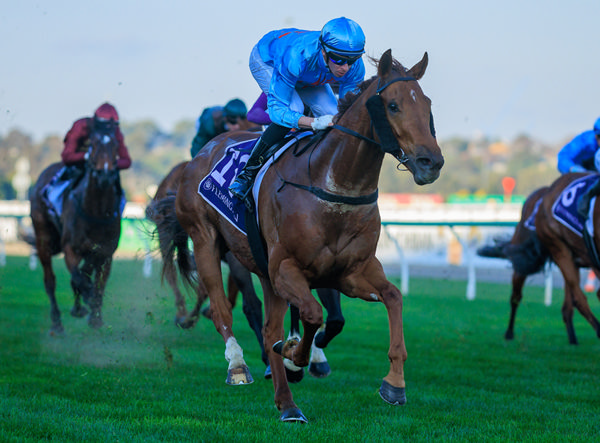 King of Roseau wins the G3 Aurie's Star - image Grant Courtney