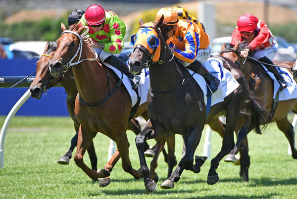 King's English (outside) winning at Ellerslie on Sunday.  Photo: Kenton Wright (Race Images)