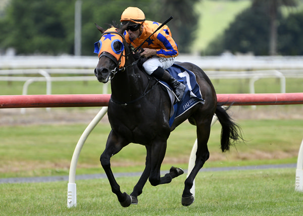 King's English winning at Te Aroha on Wednesday.  Photo: Kenton Wright (Race Images)