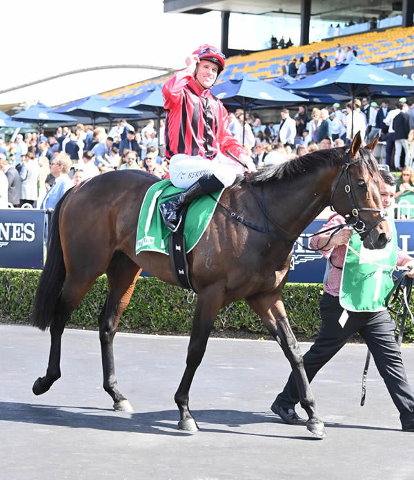 King's Gambit and Tommy Berry might be a winning combination - image Steve Hart