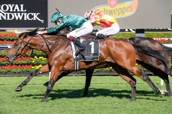 King's Legacy wins the Group I ATC Champagne Stakes - image Steve Hart