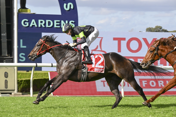 King's Secret wins at Rosehill - image Badley Photography