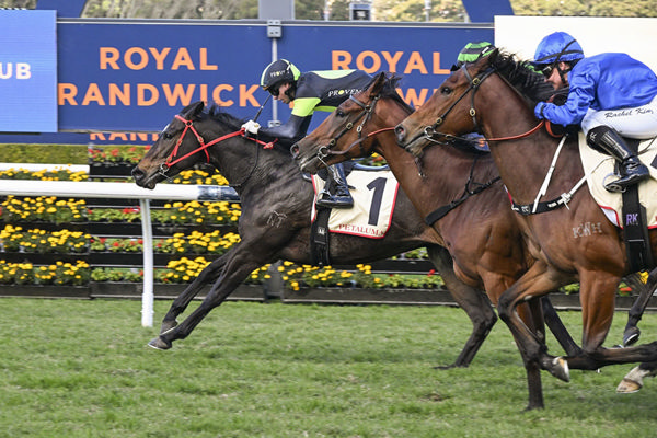 King's Secret Records His Fourth Wins From Six Starts Thie Time In - Image Bradley Photos