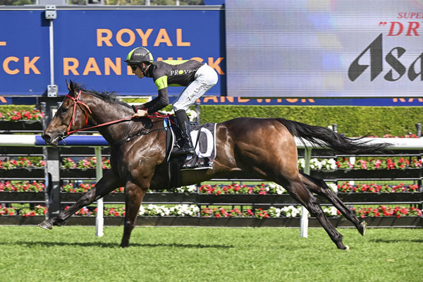 King's Secret Took His Record To Five Wins From Ten Starts - Image Bradley Photos