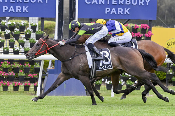 King's Secret Captures The Listed Canterbury Sprint - Image Bradley Photos