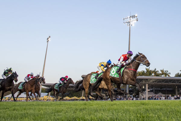 King Of Hastings image Magic Millions, Michael McInally twitter