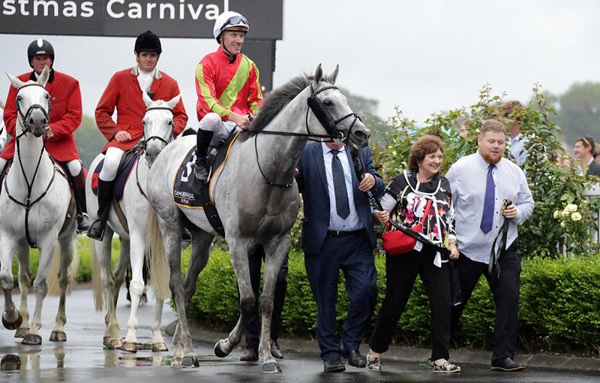 Kingswood returns victorious following the Gr.1 Cambridge Stud Zabeel Classic (2000m) at Ellerslie on Boxing Day.  Photo: Kenton Wright (Race Images)