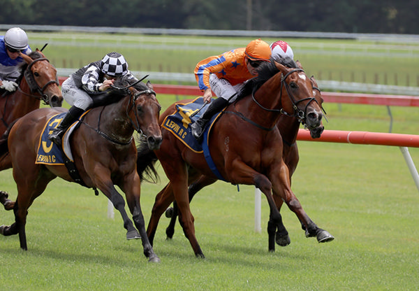 Kinnaird tangerine colours) digs deep to score a narrow debut victory over Ka Ron (outside).   Photo: Peter Rubery (Race Images Palmerston North)