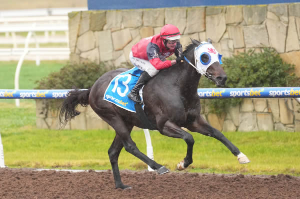 Kirk was a $325,000 Magic Millions purchase for Rosemont Alliance/Suman Hedge Bloodstock - image Scott Barbour / Racing Photos