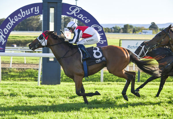 Kirwan's Lane is the 14th SW for Charm Spirit (IRE) - image Steve Hart