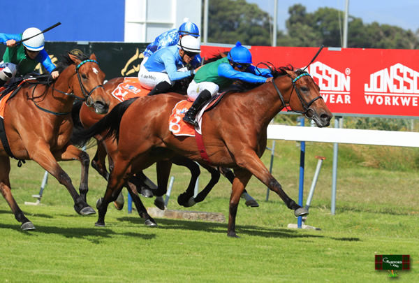 Press Statement 3YO filly Kitty Cat Chat wins the G2 Southern Cross Stakes - image Crawford Racing Twitter 