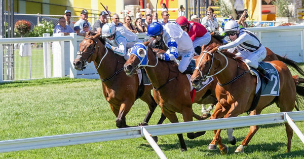 Klabel clinches stakes success in the Christmas Handicap (1200m) at Morphettville. Photo: File Pic.