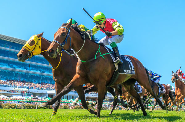 The little Aussie battler Knight's Choice outguns Japanese raider Warp Speed (Jpn) to win the Melbourne Cup - image Grant Courtney 