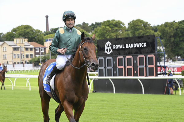 Knightsbridge has banked over $109,000 from his first two starts - image Bradley Photos