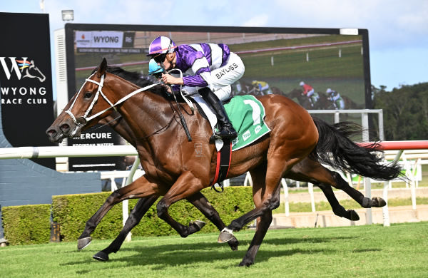 Konasana wins the G3 Belle of the Turf - image Steve Hart